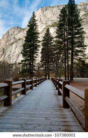 A bridge path lined by trees in Yosemite