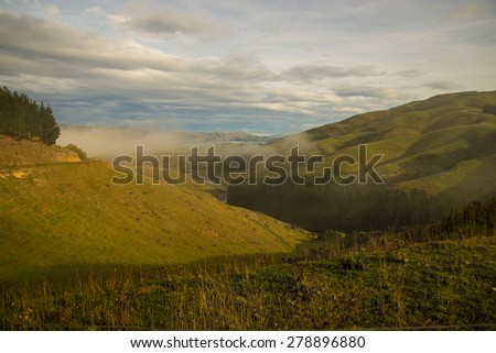 The lush green and scenic farmlands of South Island, New Zealand