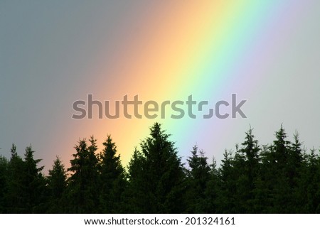 Rainbow over spruce forest in Urjala, Southern Finland.