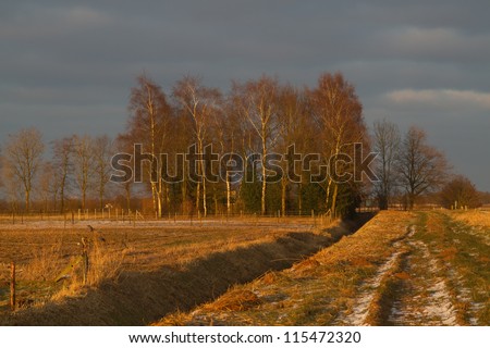 Dutch winter landscape during the golden hour