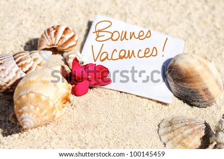 beach sand shells