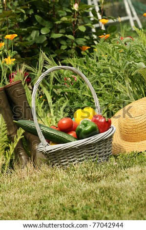 basket of vegetables and in a botanical garden