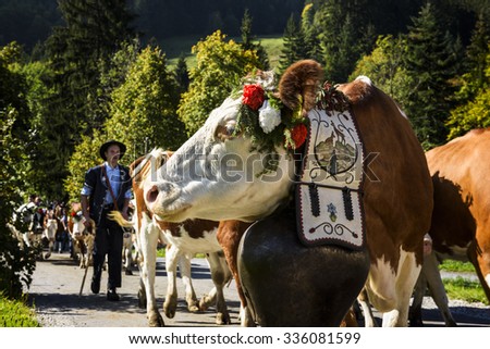 Charmey, Fribourg, Switzerland - SEPTEMBER 26 2015 : Farmers with a herd of cows on the annual transhumance at Charmey near Gruyeres, Fribourg zone on the Swiss alps