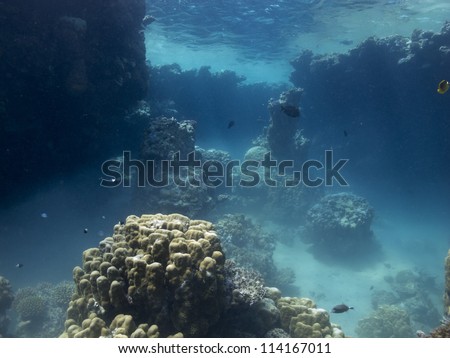 Beautiful underwater landscape with coral formation at shallow water, Red sea, Egypt