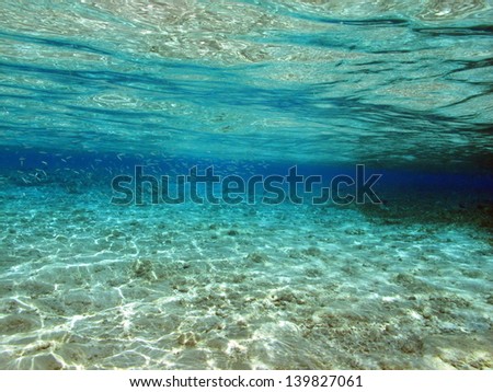Beautiful underwater view - turquoise clear water with the light reflection on the surface
