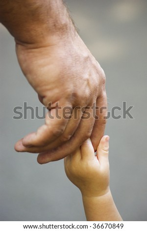 hand in hand , a baby hand is holding an adult hand