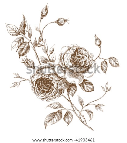 rose flower sketch. hairstyles Flower Parts - Image 8 rose flower drawing.