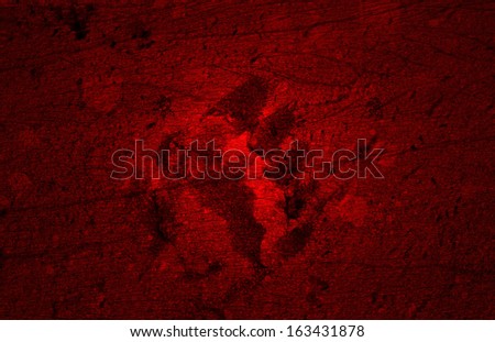 Foot print on red sand background