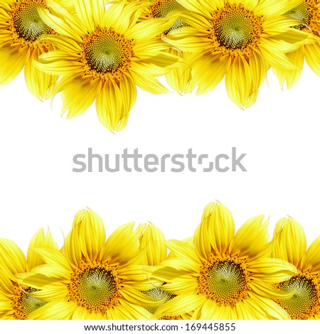 Sunflower frame