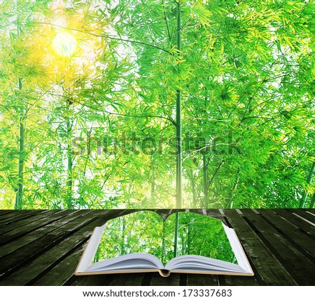 Open book on bamboo background