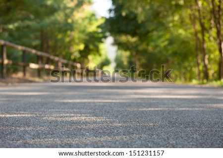 Road From The Ground Level - Shallow Depth Of Field And Trees Bokeh.