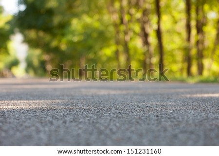 Road from the ground level - shallow depth of field and trees bokeh.