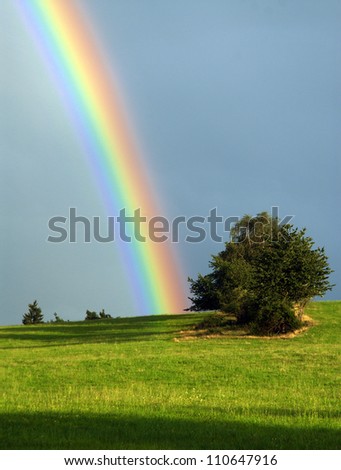 beautiful rainbow during a summer storm