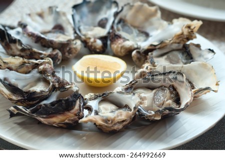 Fresh opened oysters on a plate with lemon slice. Selective focus, main focus of oysters in the front