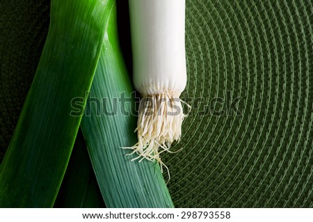 Green leek stem leaves with water drop at bottom. Element of a whole plant, attention to details. Copy space, low key