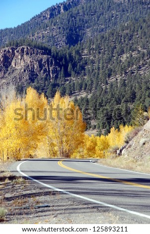 Mountain Highway in Autumn - A mountain road winds through a golden forest during autumn.