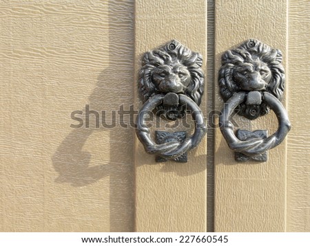 Close-up of two lion faced metal door knockers in the morning soft sunlight against textured cream colored doors.