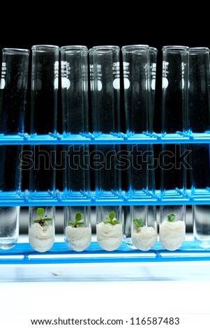 Biotechnology - Plant culture