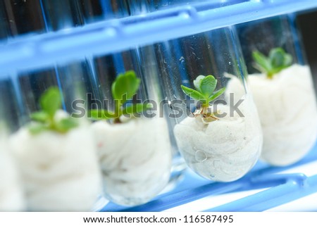 Biotechnology - Plant tissue culture