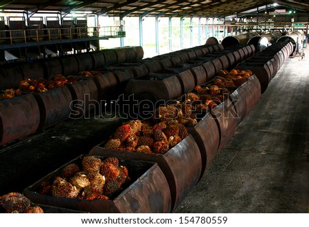 Palm oil Processing
