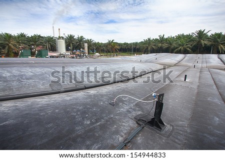 Oil palm biogas plant