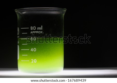 Algae fuel