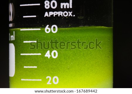 Algae fuel
