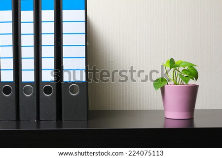 Office indoor ornamental plant on table