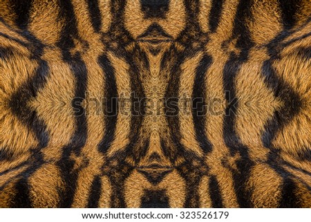 tiger skin texture ( fur )