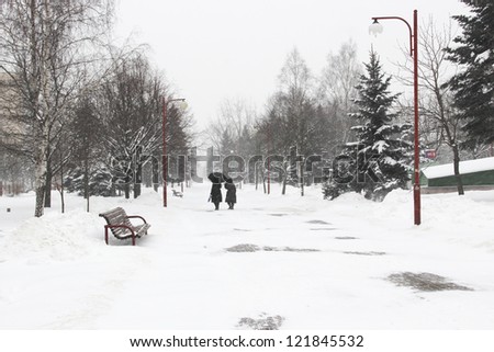 Two women walk through the park in the snow