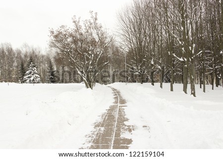 The sidewalk in the snow-covered park in winter