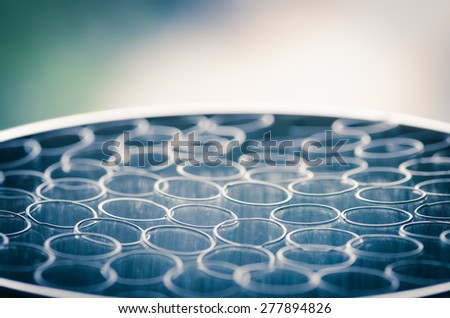 laboratory test tubes laboratory test tubes