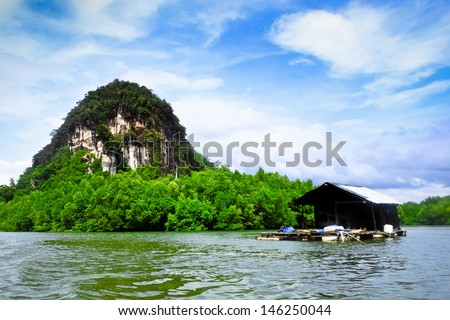 Mini house and stone mountain in the mangrove swamp