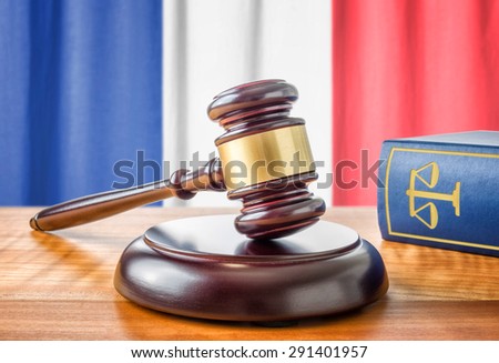 A gavel and a law book - France
