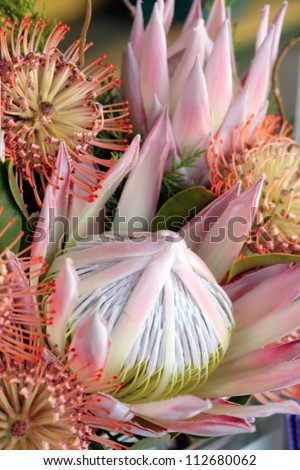Bunch of King protea and Leucospermum\