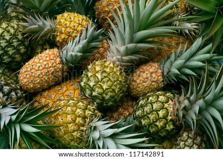 Ripe hawaiian  pineapples as a background. Hawaii, Maui, USA