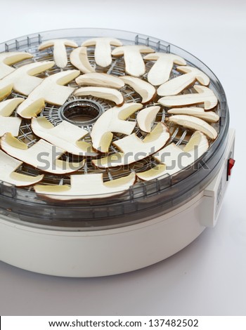 Drying machine with sliced ceps prepared for drying