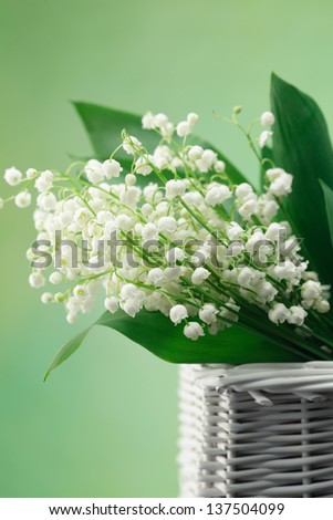 Lily-of-the-valley posy in a wicker basket  isolated on white background