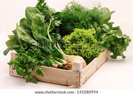 Culinary green herbs variety, spinach, Lollo Bionda and salad leaves  in a wooden box