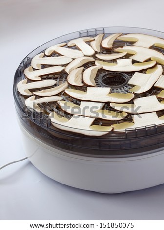 Sliced fresh Cep/ porcini  mushrooms prepared for drying in drying machine