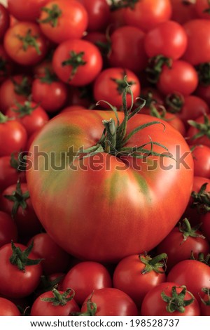 Beefsteak tomato on cherry tomatoes background