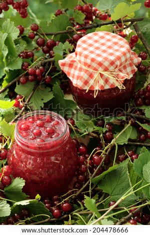 Red currant jam and fresh red  currant berries  / preserving red  currants in jars