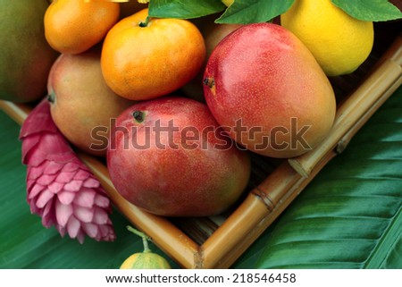 Tropical fruit basket with tropical flowers on tropical leaf