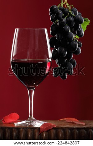 Red wine glass and bunch of red wine grapes still life on red background
