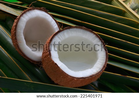 Opened coconut with coconut milk/ coconut water