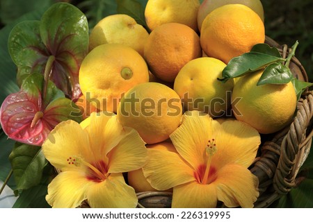 Tropical fruit and tropical flowers basket. Hawaii, Maui, USA