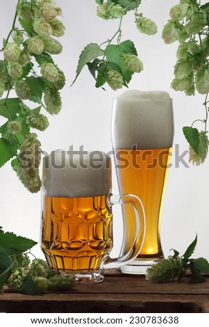 Beer glass, beer mug and hops  still life isolated on white background