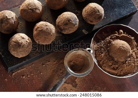 Truffle chocolate candies on cocoa powder