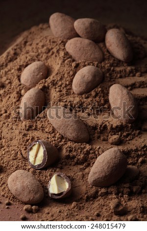 Chocolate covered  almond nuts  on cocoa powder