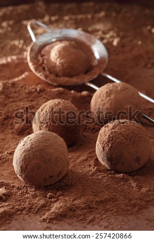 Truffle chocolate candies on cocoa powder